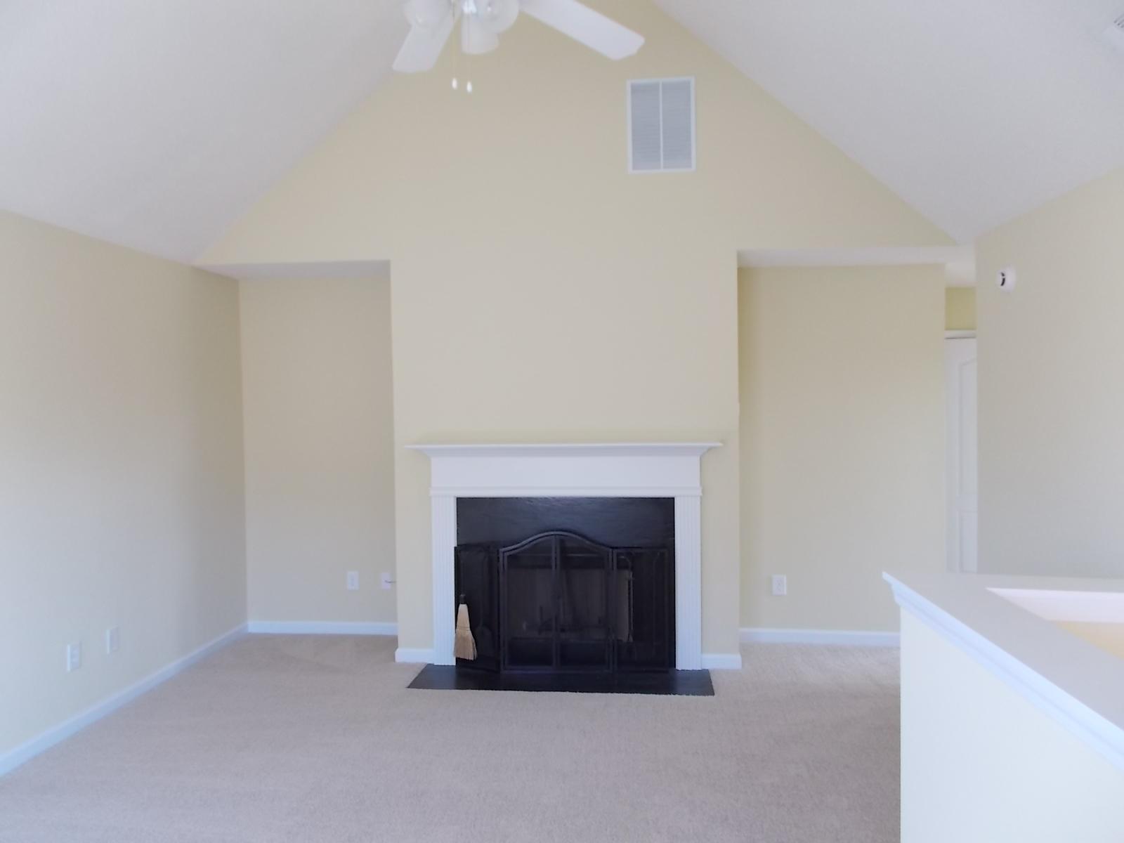 1812 Dalton Way, Hampton, GA 30228 photo 5
