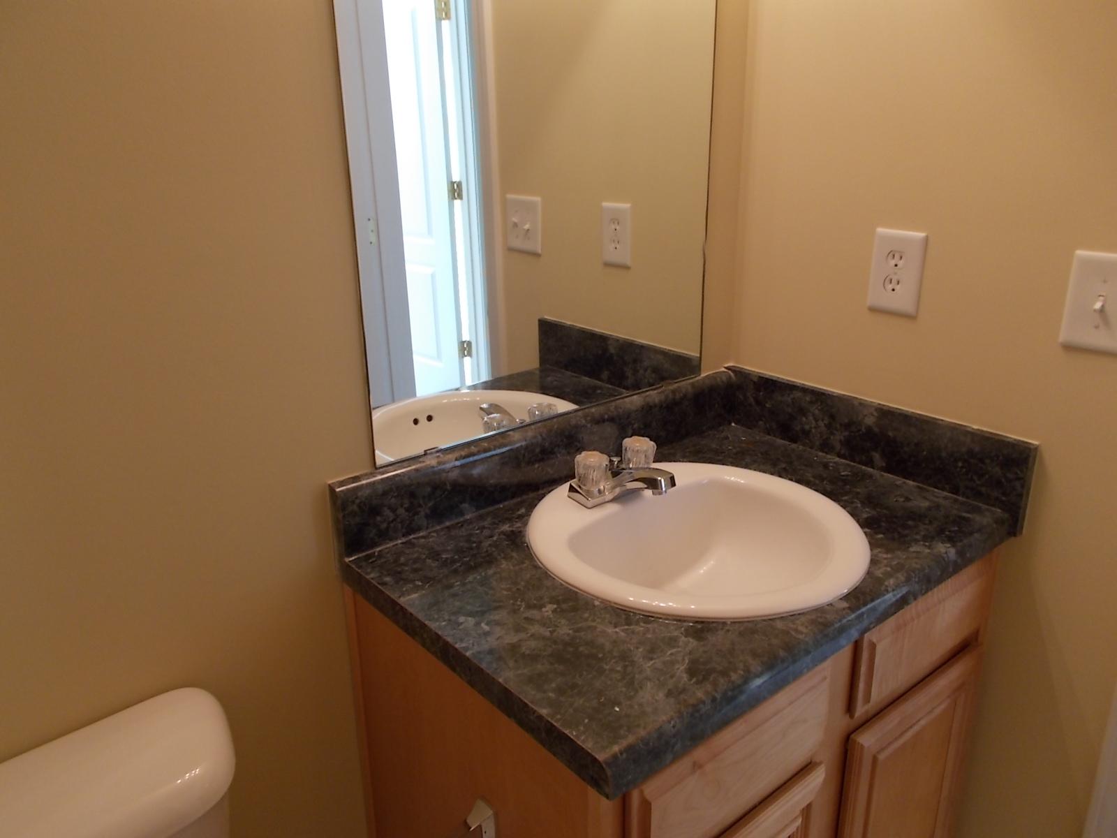 1812 Dalton Way, Hampton, GA 30228 photo 20