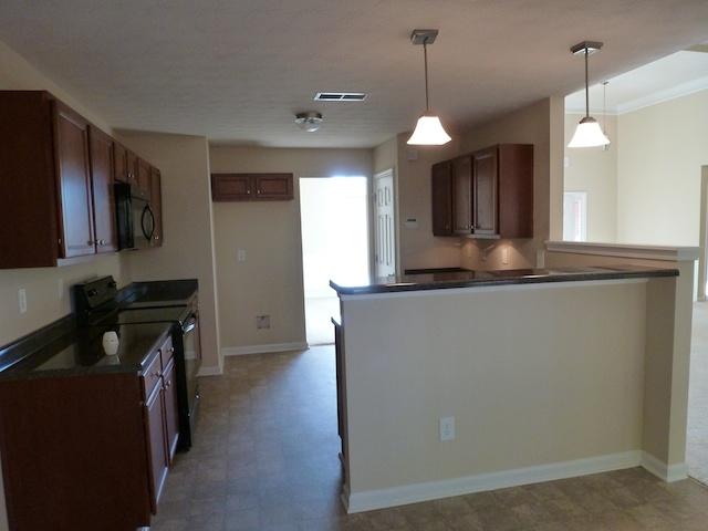 11112 Genova Ter, Hampton, GA 30228 photo 9