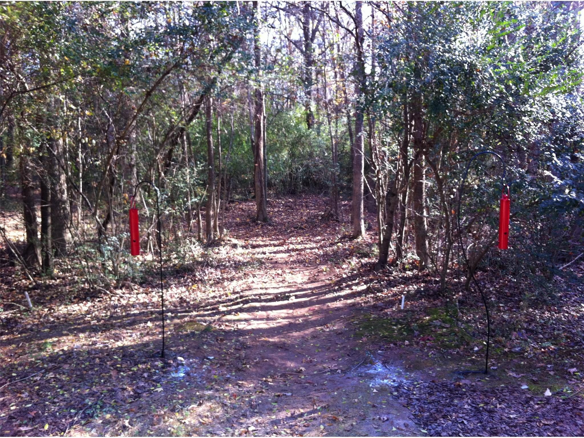 114 Riverview Dr, Suwanee, GA 30024 photo 24