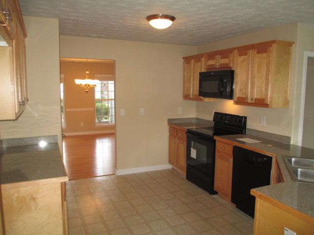 12840 Dolphin Pt, Hampton, GA 30228 photo 2