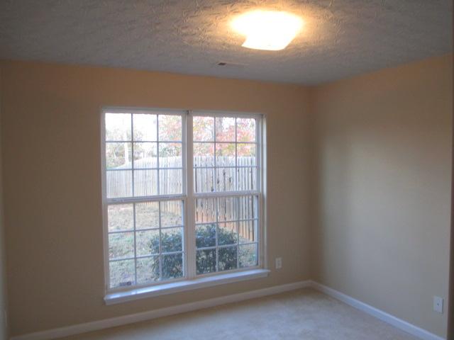 12840 Dolphin Pt, Hampton, GA 30228 photo 9