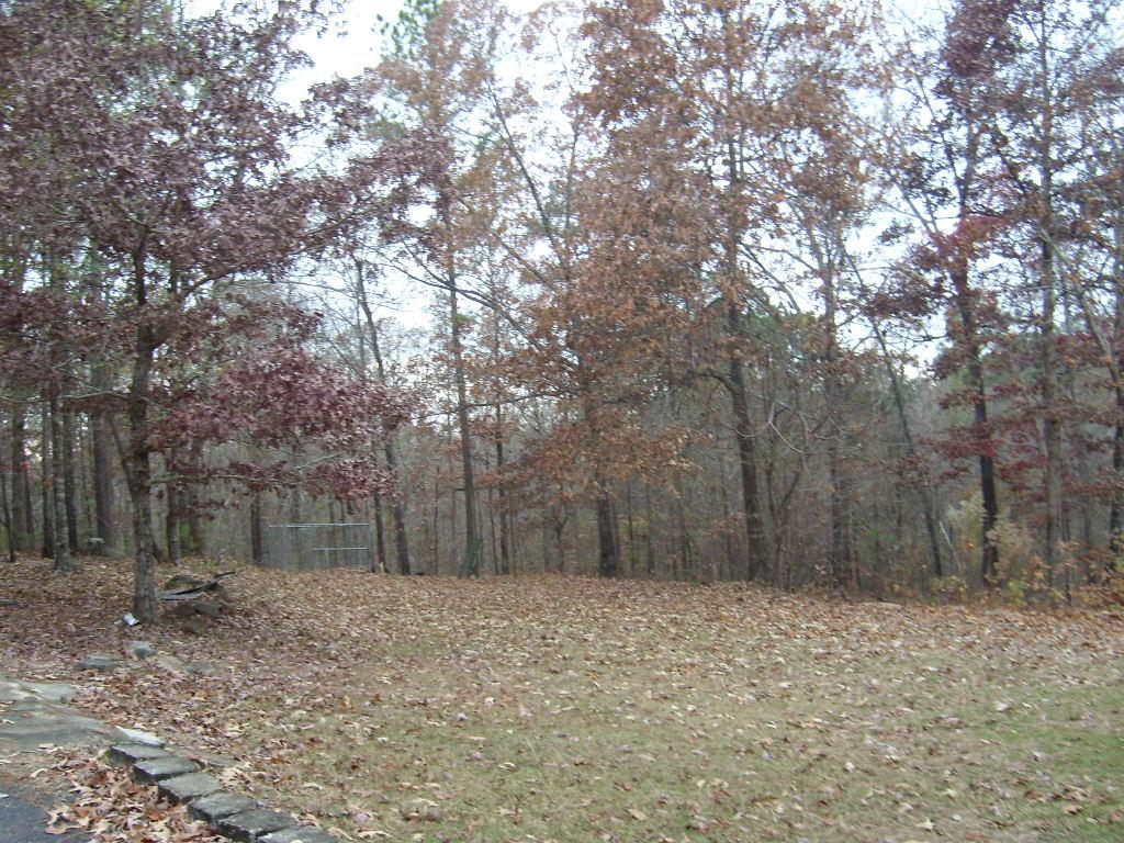 21 Turkey Point Dr, Lagrange, GA 30240 photo 14