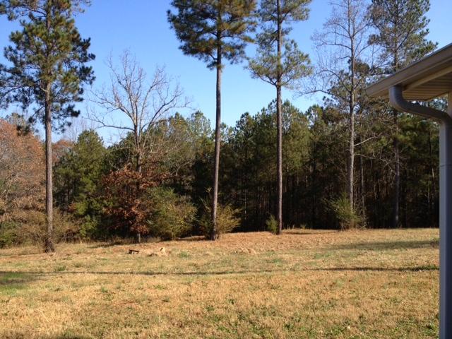 3644 Rock Mills Rd, Lagrange, GA 30240 photo 3