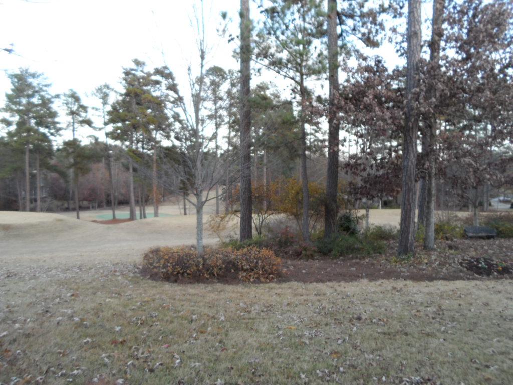 7121 Crestview Dr, Covington, GA 30014 photo 5