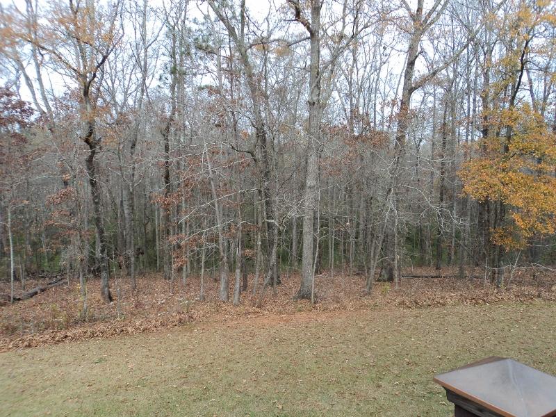 1164 Gaithers Rd, Covington, GA 30014 photo 19