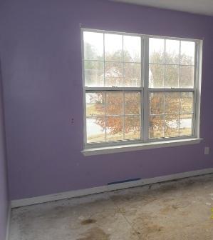 1476 Leicster Ct, Hampton, GA 30228 photo 7