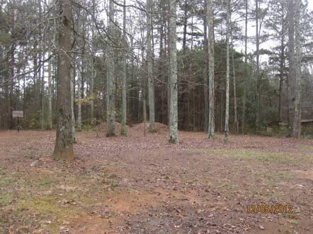 152 Morgan Rd, Temple, GA 30179 photo 3