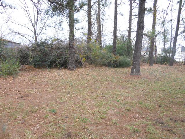 1824 Mcdonough Rd, Hampton, GA 30228 photo 10