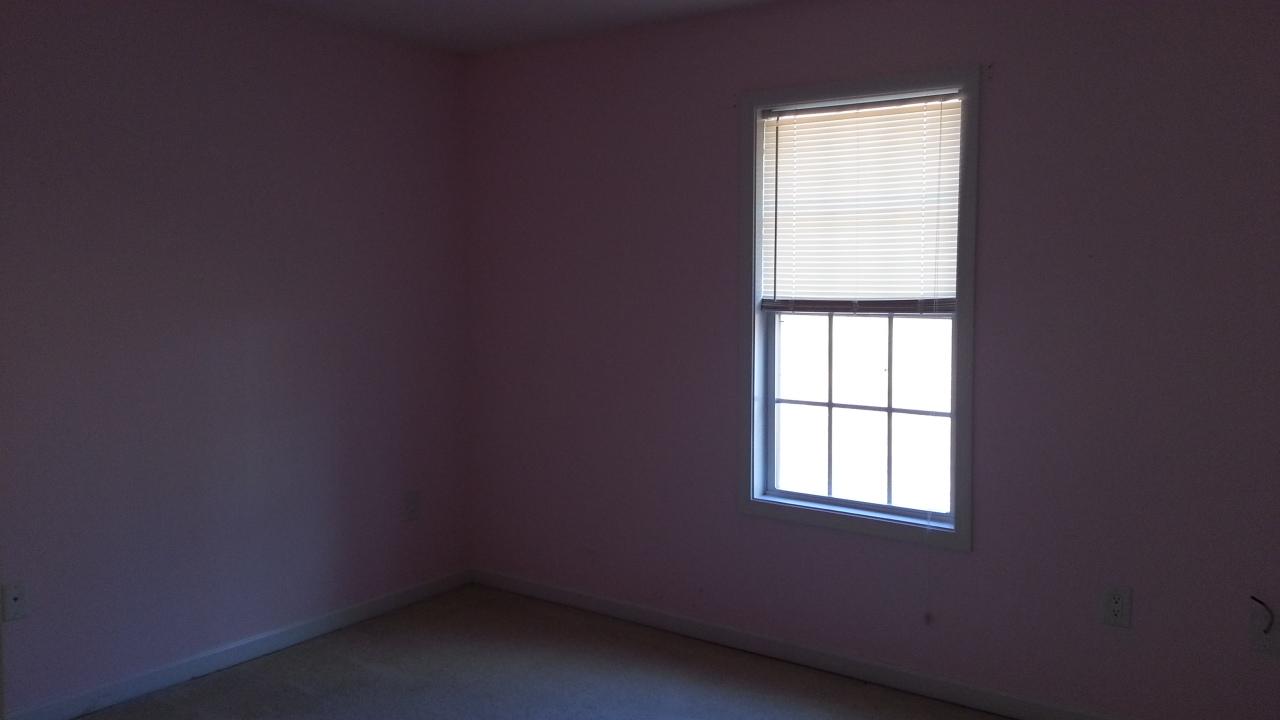 327 Evans Rd, Milner, GA 30257 photo 10