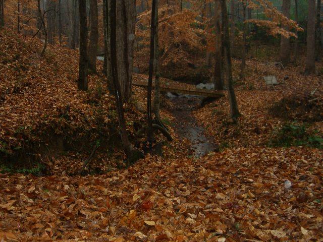 1135 David Trce, Suwanee, GA 30024 photo 3