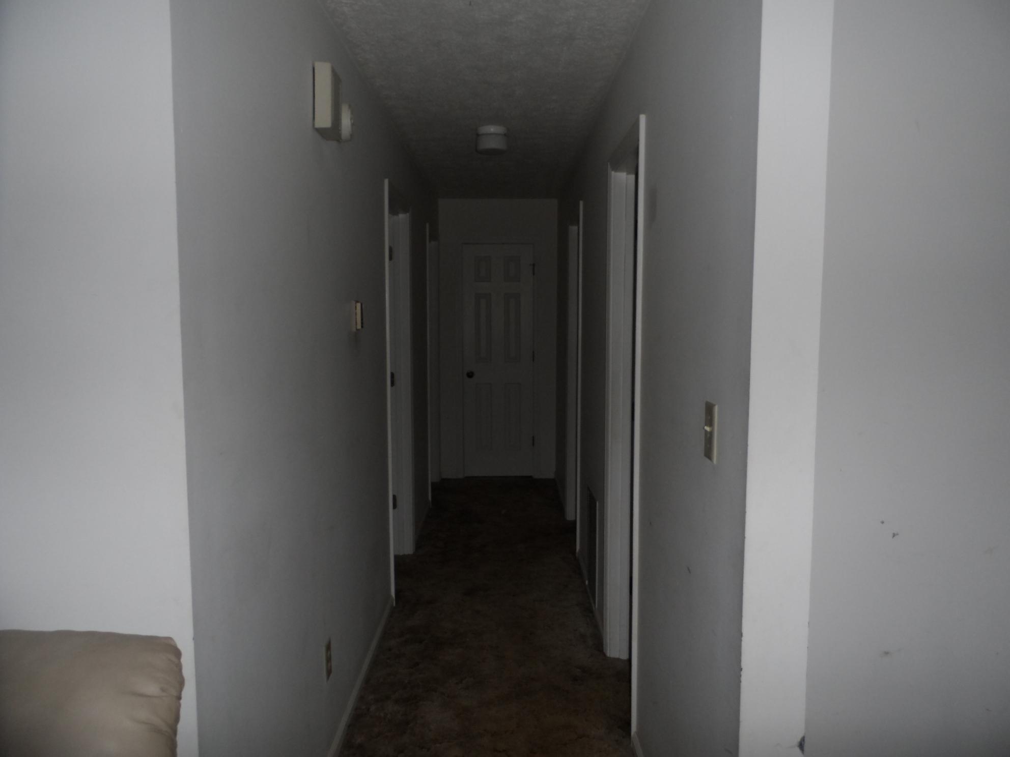123 Shady Ln, Jackson, GA 30233 photo 14