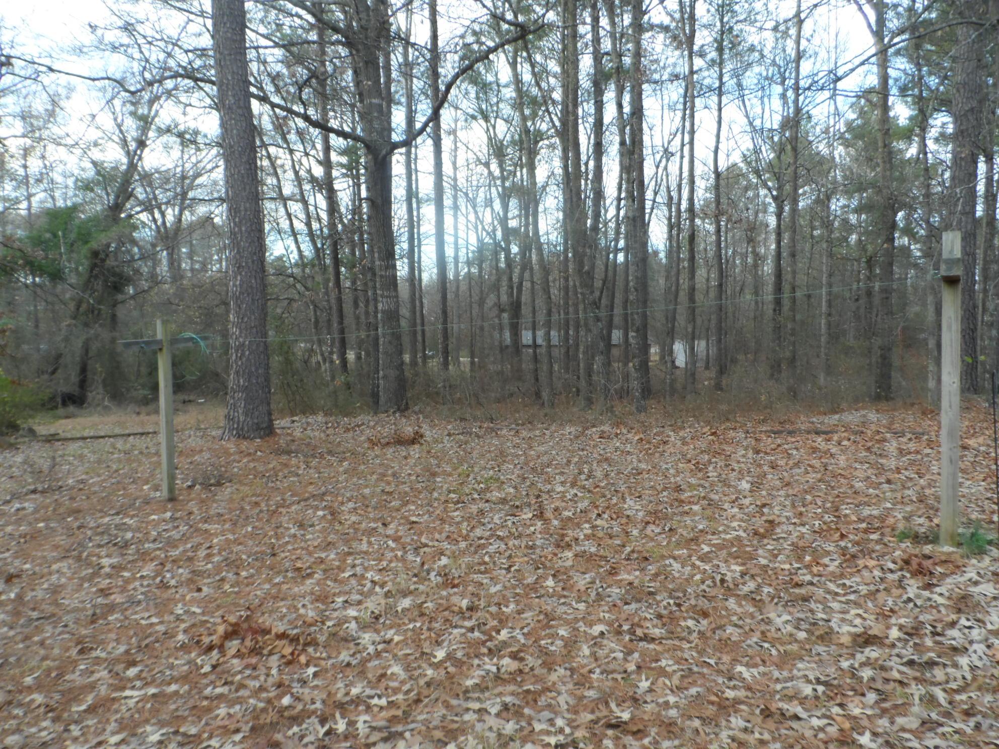 123 Shady Ln, Jackson, GA 30233 photo 5