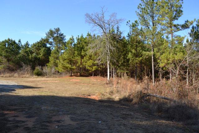 699 Berkley Rd, Carlton, GA 30627 photo 24