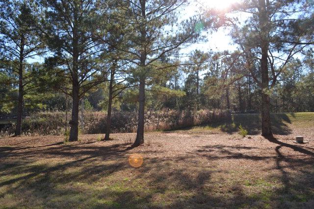699 Berkley Rd, Carlton, GA 30627 photo 22