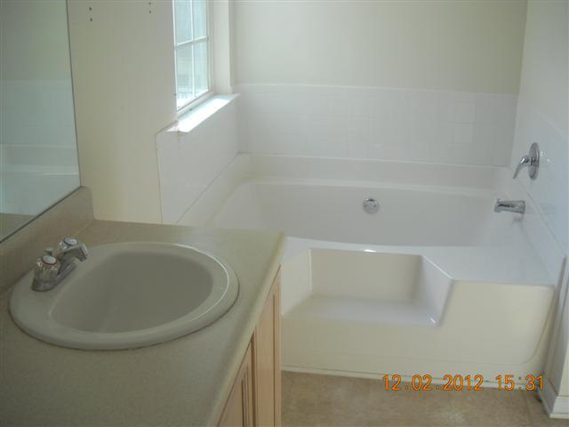 1141 Oak Hollow Ln, Hampton, GA 30228 photo 3