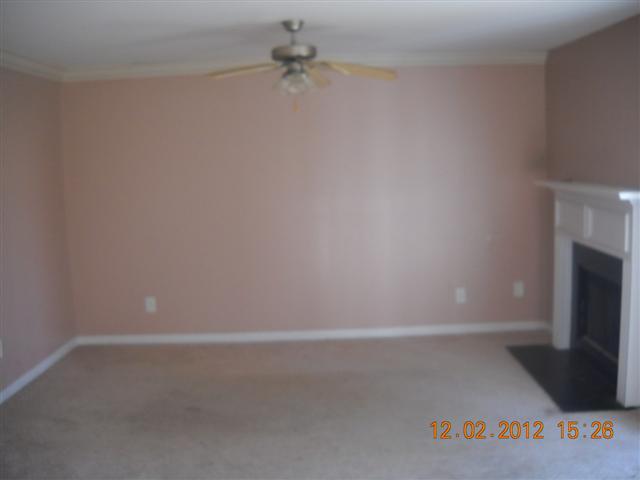 1141 Oak Hollow Ln, Hampton, GA 30228 photo 11