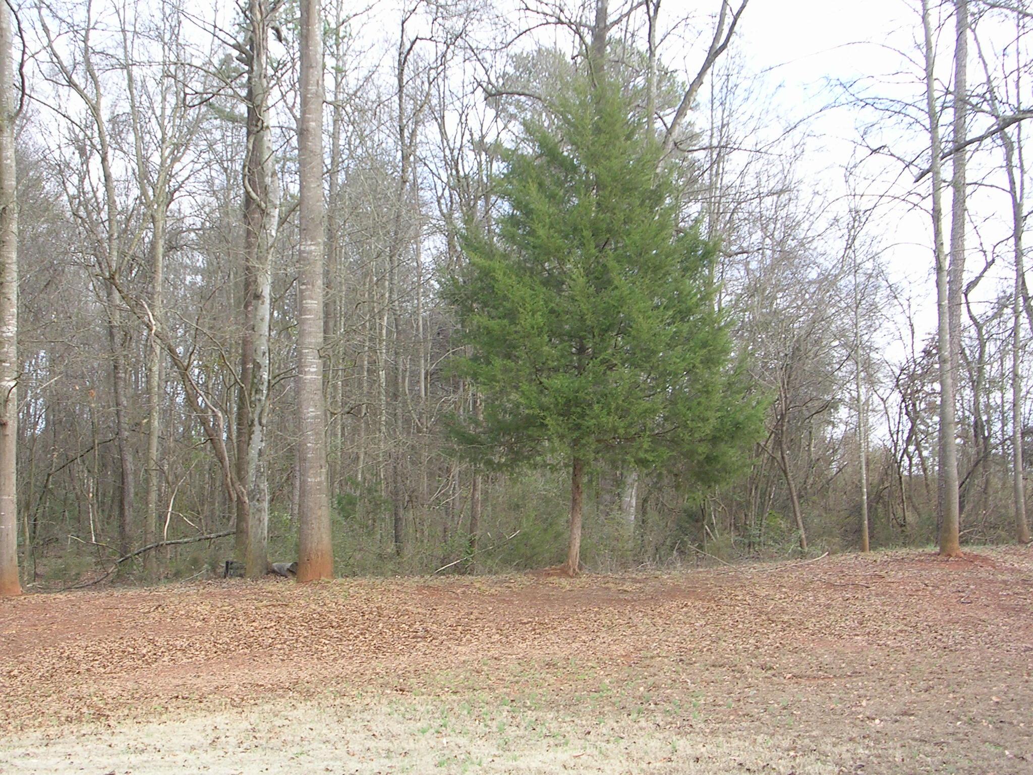 294 Goolsby Rd, Carnesville, GA 30521 photo 24