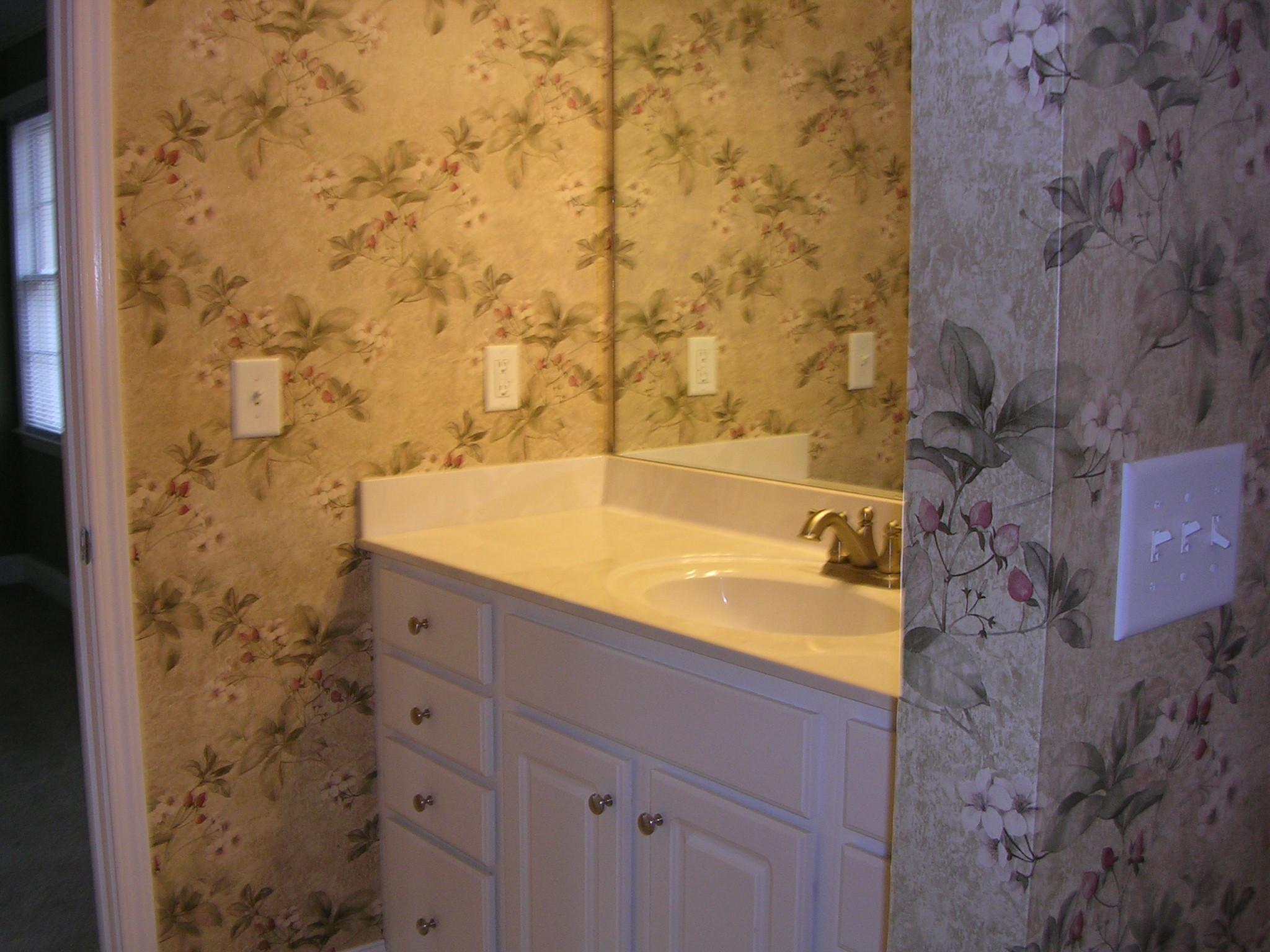 294 Goolsby Rd, Carnesville, GA 30521 photo 18