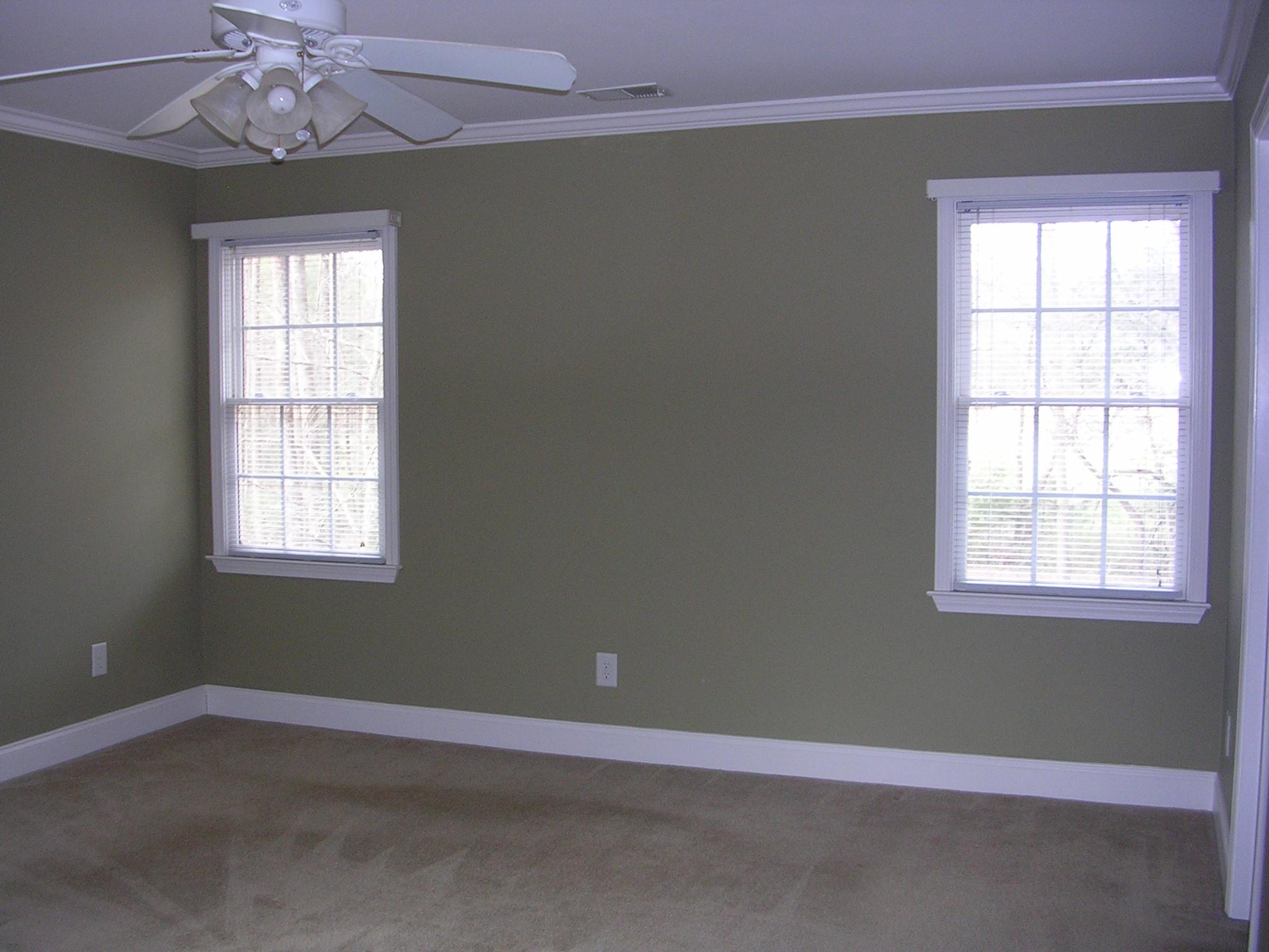 294 Goolsby Rd, Carnesville, GA 30521 photo 17