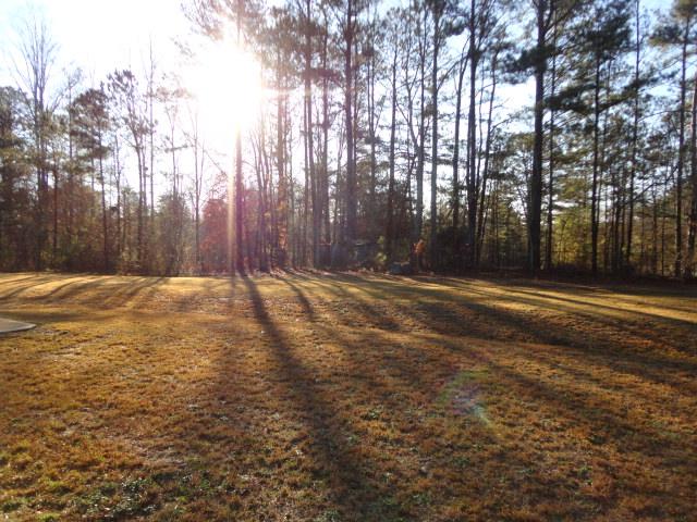 1218 Pebblerock Rd, Hampton, GA 30228 photo 3