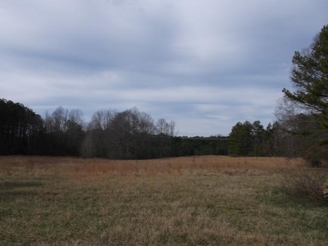 11531 New Hope Rd, Hampton, GA 30228 photo 20