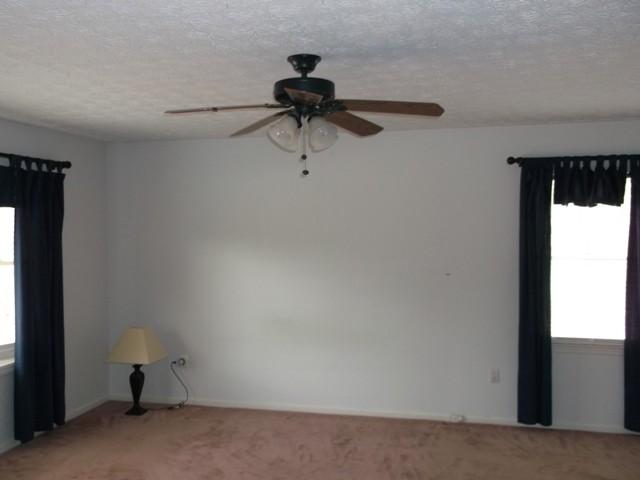 11531 New Hope Rd, Hampton, GA 30228 photo 12