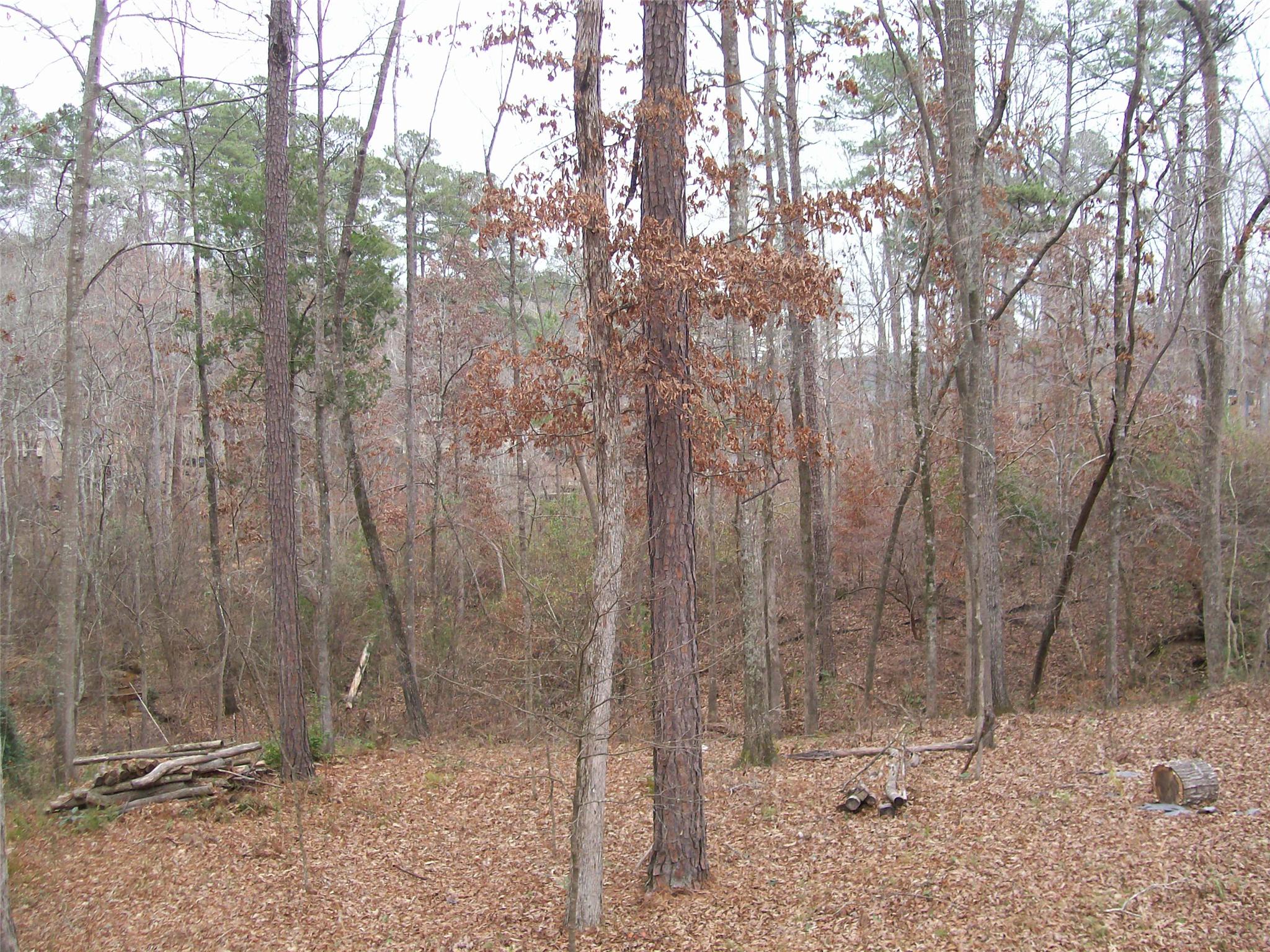 326 Haley Rd, Jackson, GA 30233 photo 15