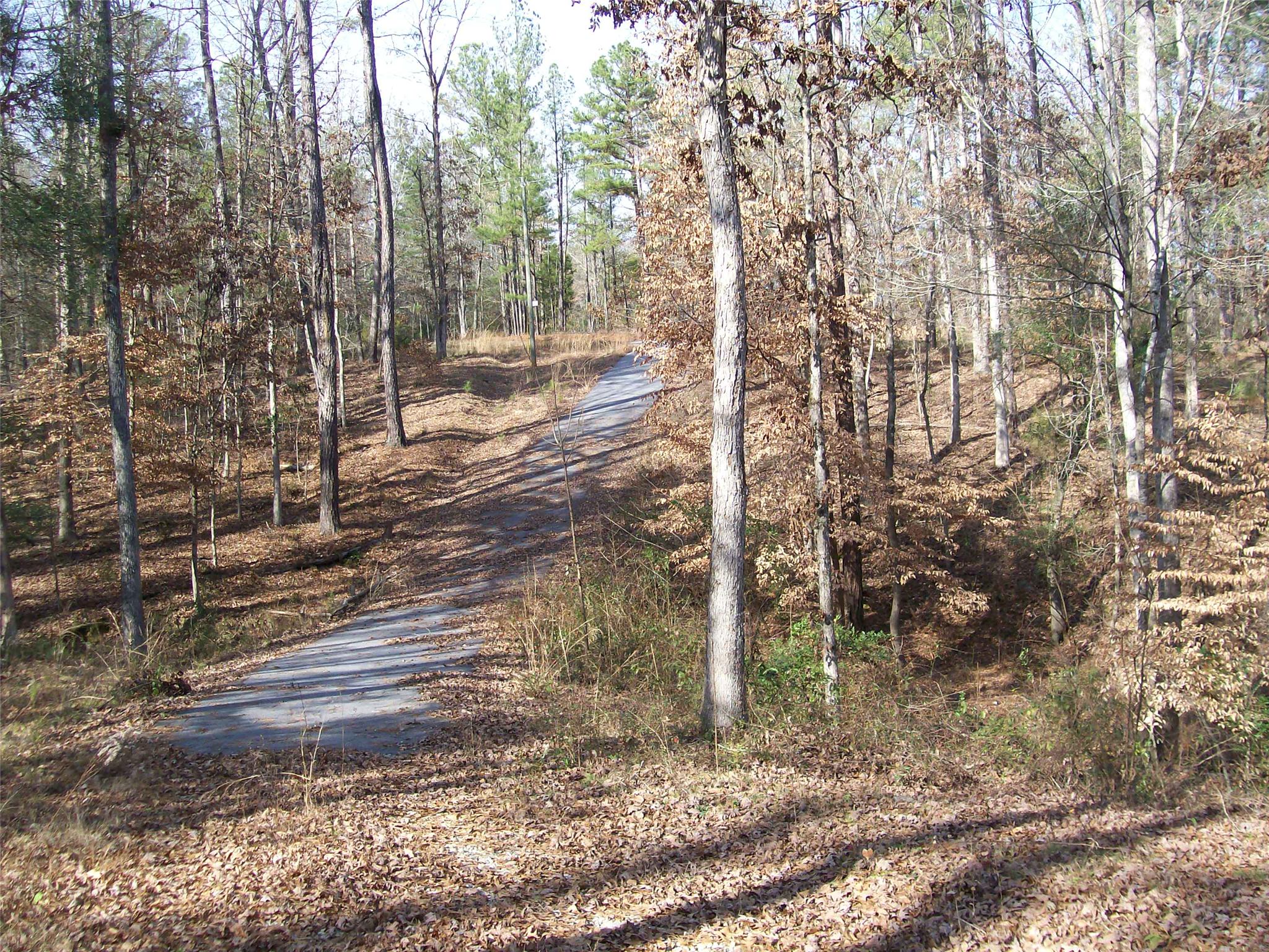 326 Haley Rd, Jackson, GA 30233 photo 3