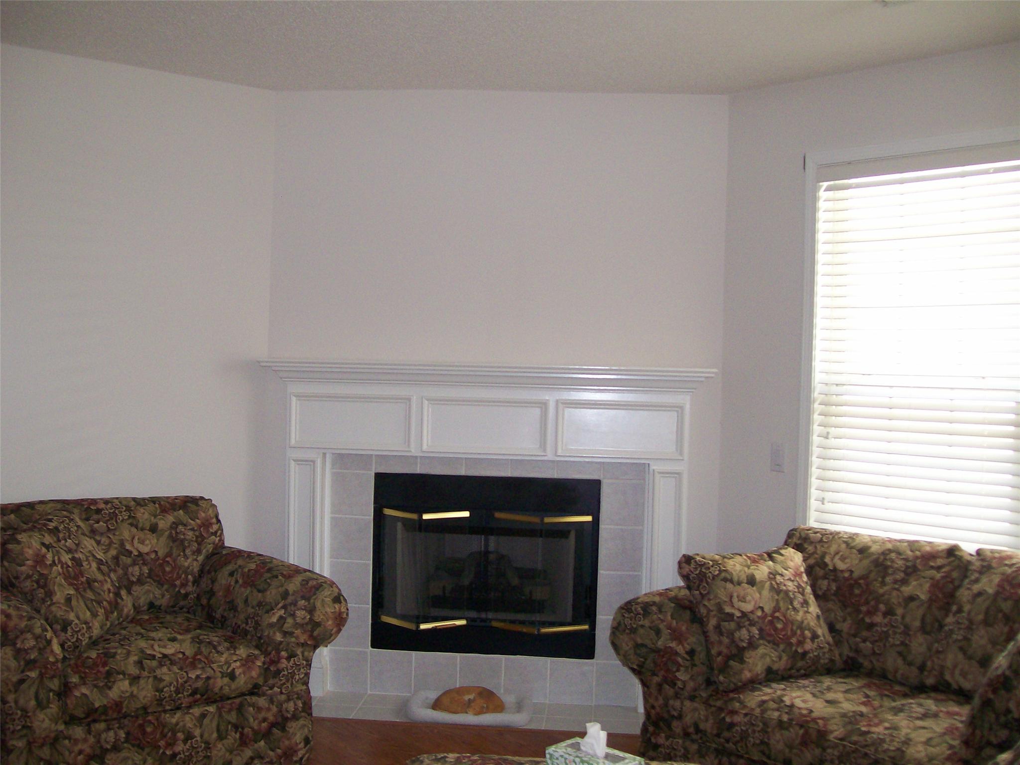 421 Falling Leaf Ct, Mcdonough, GA 30253 photo 5