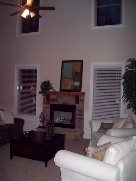 132 Snow Bird Dr, Hampton, GA 30228 photo 11