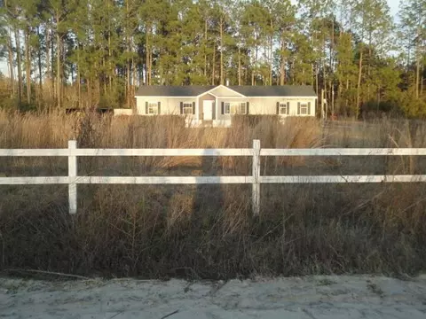 151 Sunflower Loop, Nahunta, GA 31553 photo 1