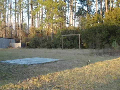 151 Sunflower Loop, Nahunta, GA 31553 photo 5