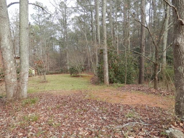 253 Garr Rd, Jackson, GA 30233 photo 16