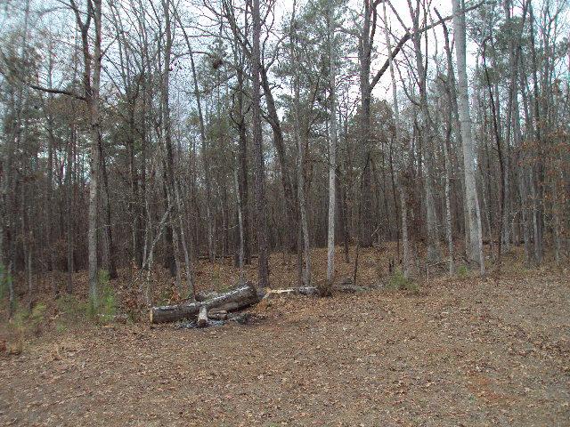 325 Serenity Loop, Cataula, GA 31804 photo 7