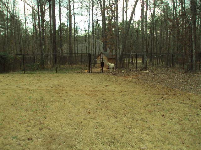 325 Serenity Loop, Cataula, GA 31804 photo 6