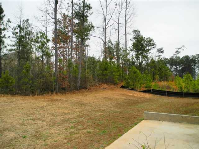 640 Toronto Cir, Hampton, GA 30228 photo 15