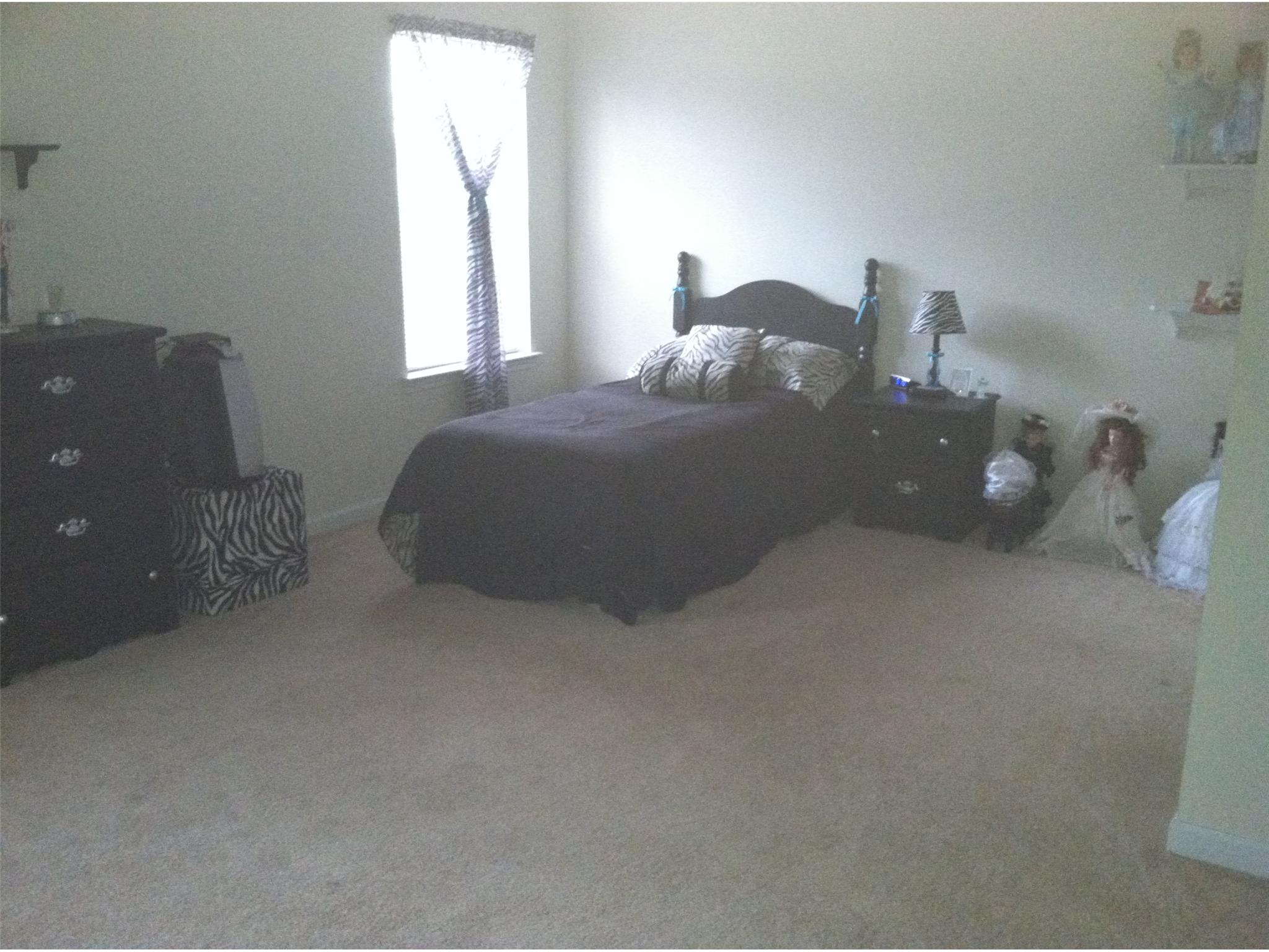 10900 Hondal Ct, Hampton, GA 30228 photo 9