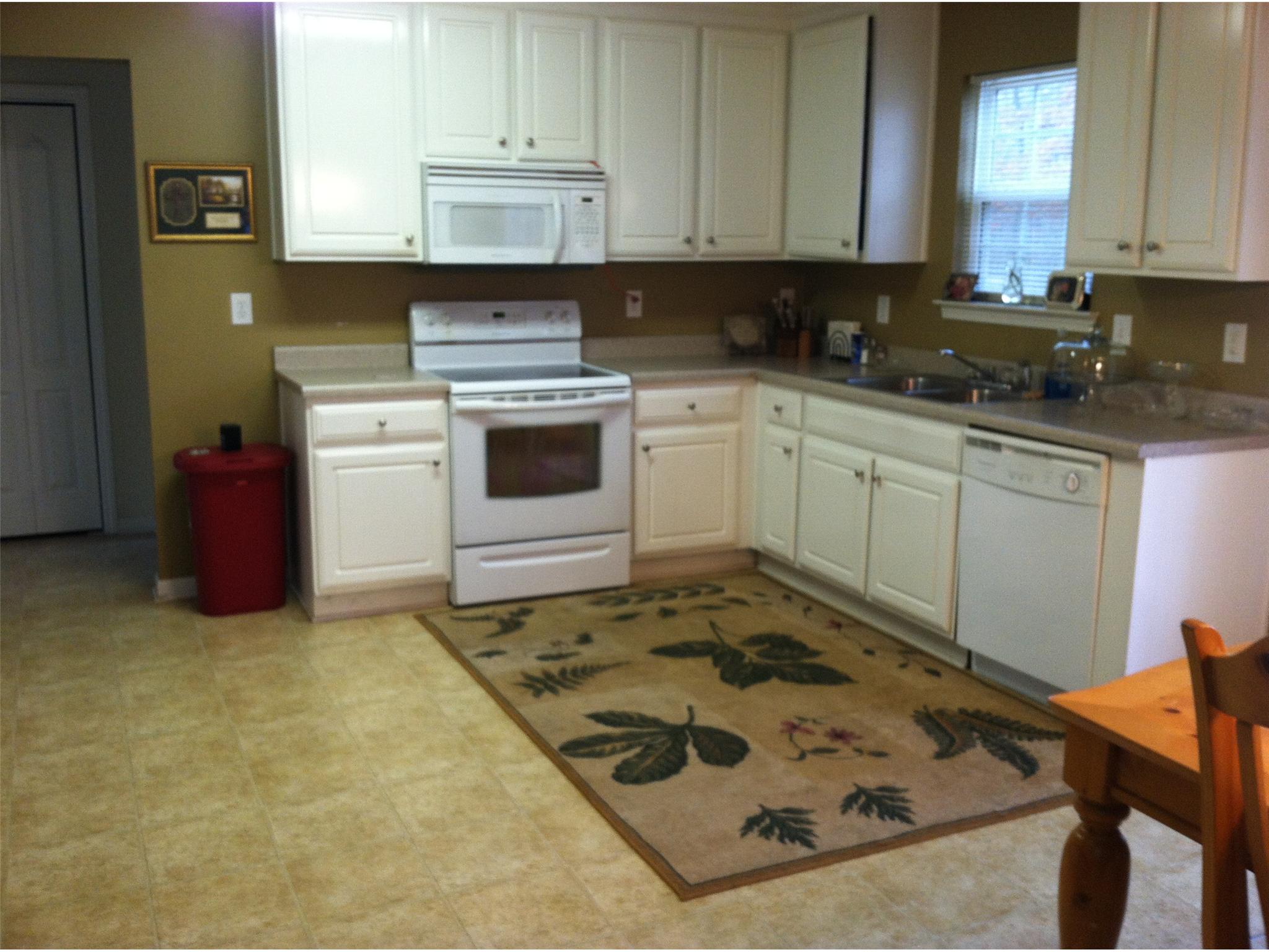 10900 Hondal Ct, Hampton, GA 30228 photo 2