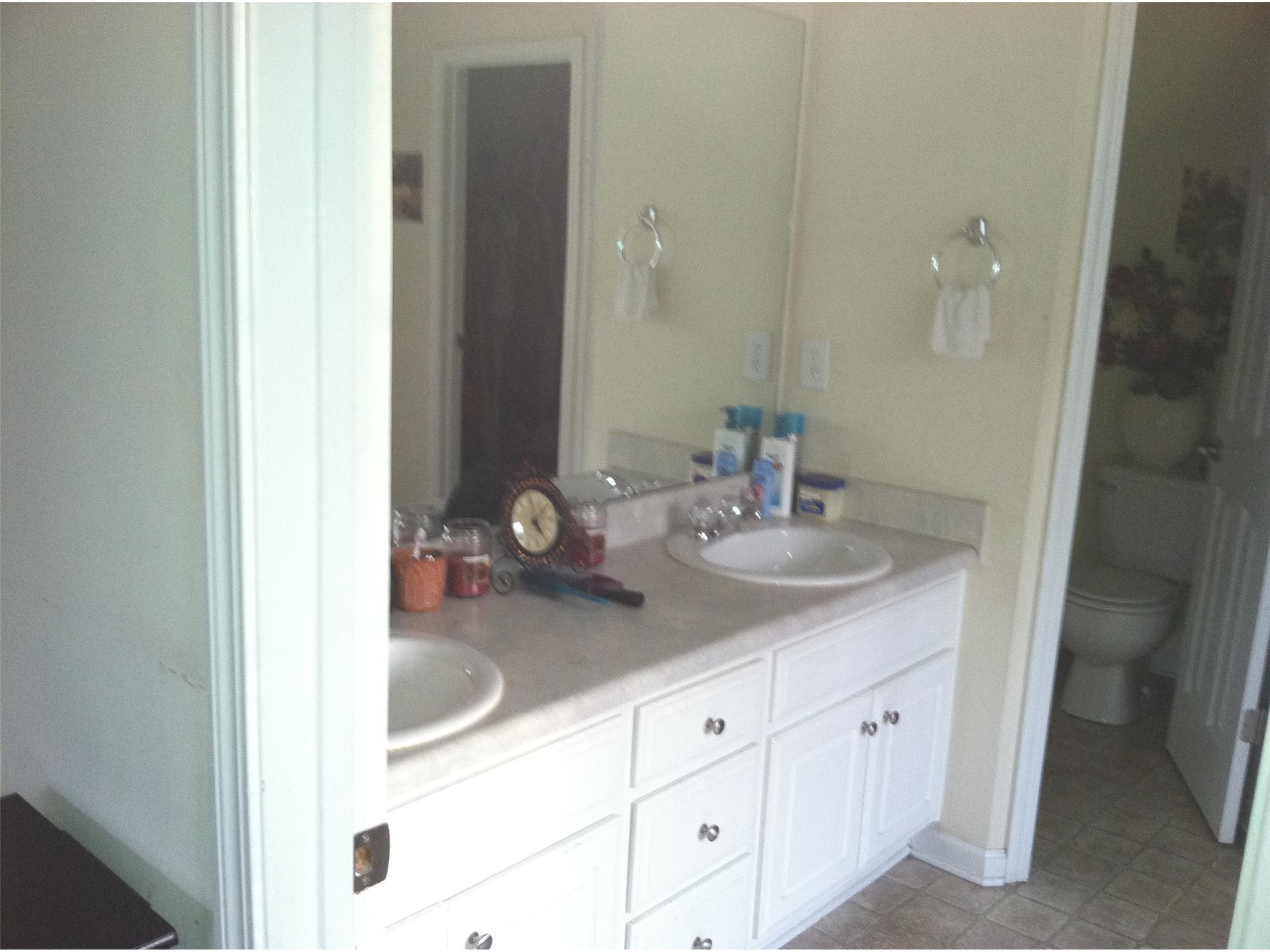 10900 Hondal Ct, Hampton, GA 30228 photo 5