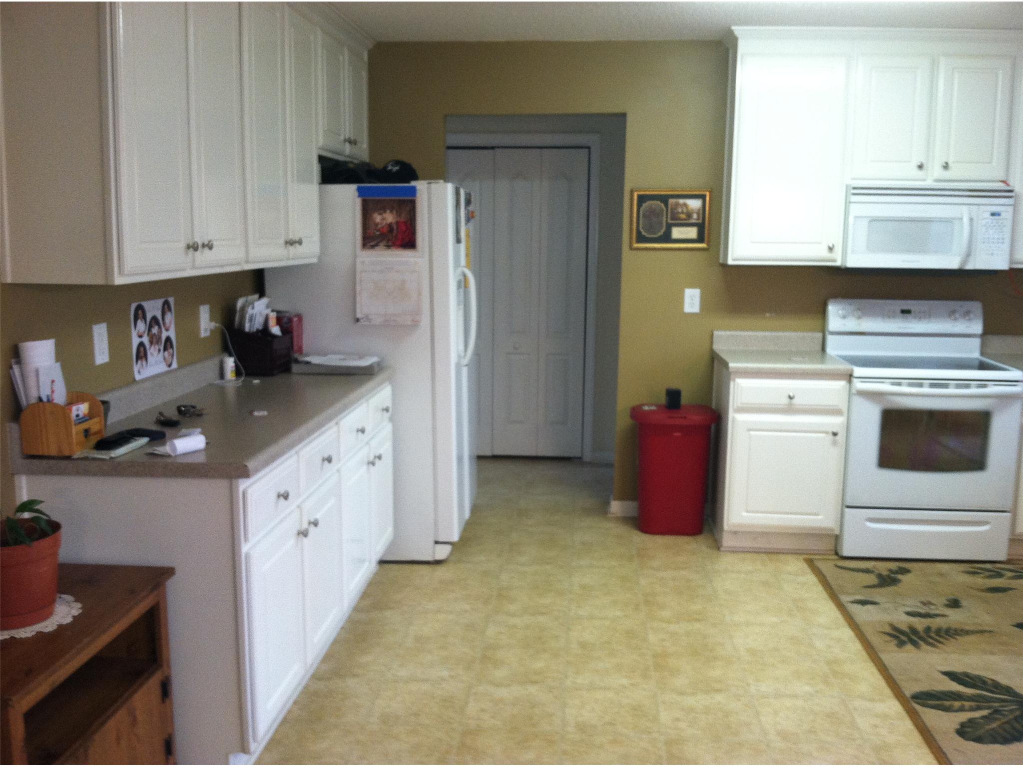 10900 Hondal Ct, Hampton, GA 30228 photo 4