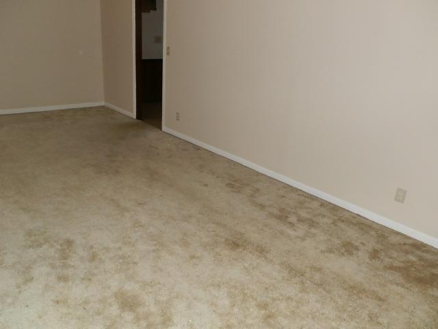 174 Colonial Hls, Winder, GA 30680 photo 3