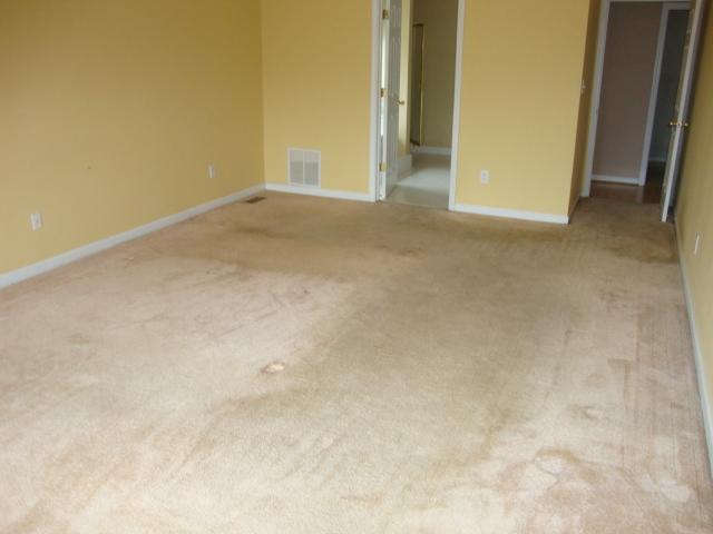 190 Water Oaks Ct, Hampton, GA 30228 photo 13