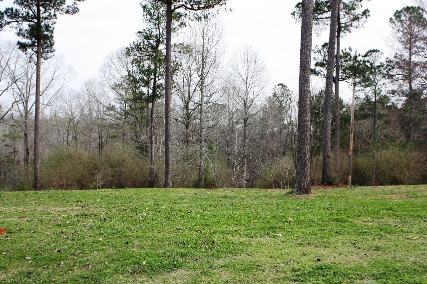 3670 Rock Mills Rd, Lagrange, GA 30240 photo 13