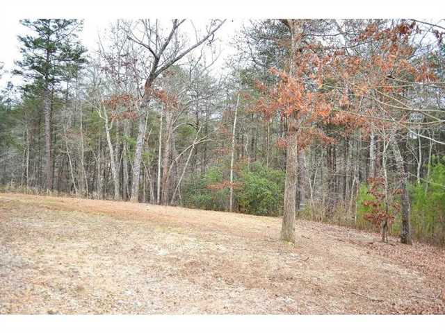 384 Madison Ln, Jasper, GA 30143 photo 2