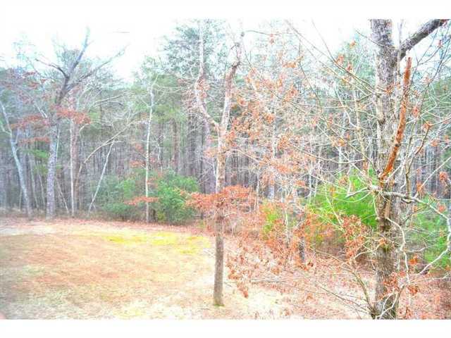384 Madison Ln, Jasper, GA 30143 photo 25