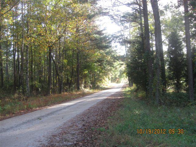 628 Jackson Rd, Franklin, GA 30217 photo 10