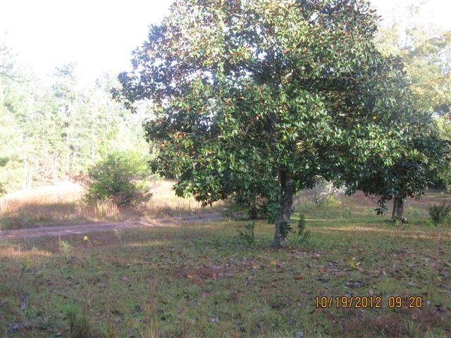 628 Jackson Rd, Franklin, GA 30217 photo 16