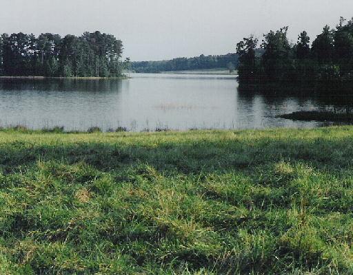110 S Waters Edge Dr, Covington, GA 30014 photo 6