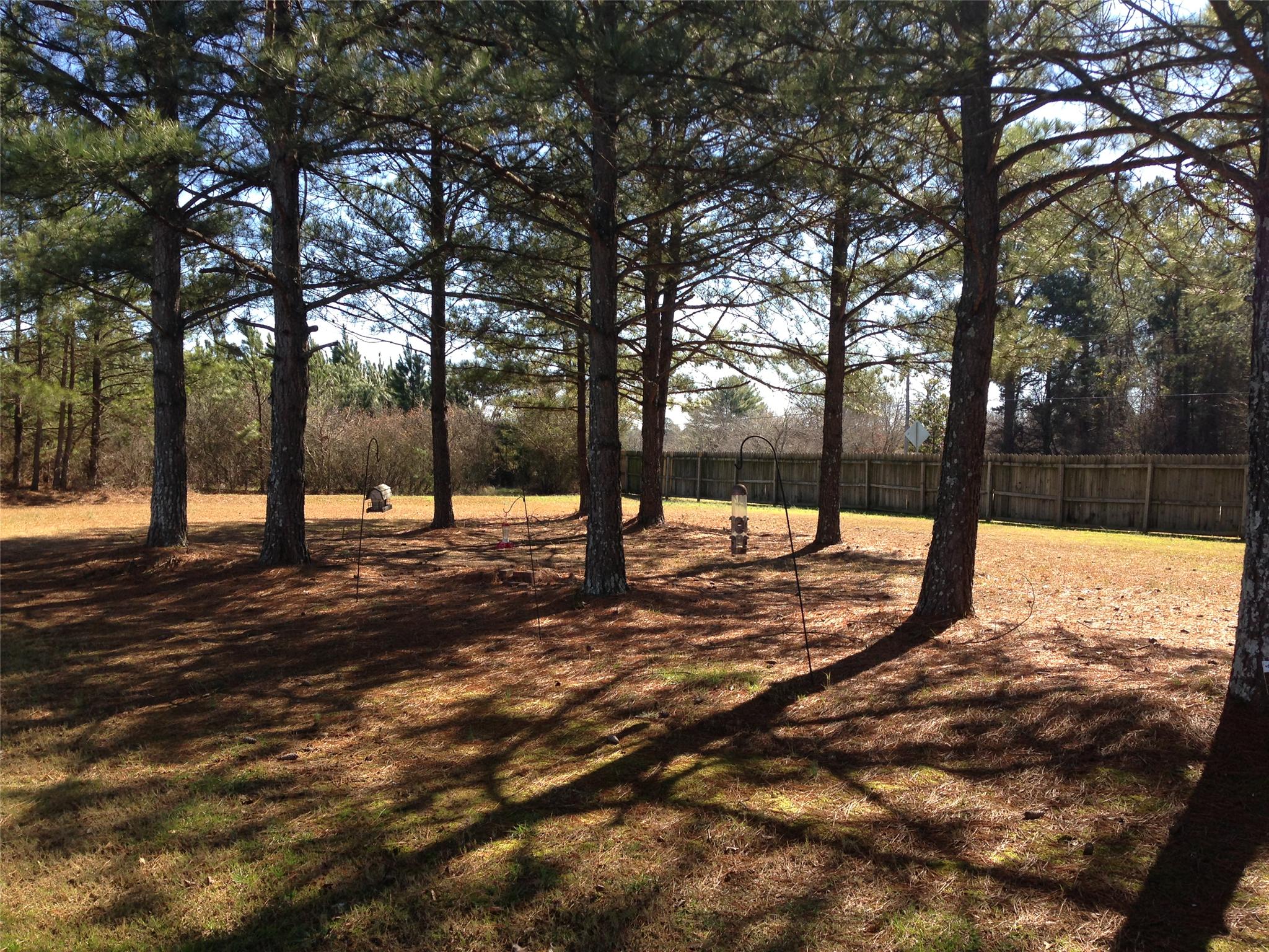 200 Edenwylde Ct, Hampton, GA 30228 photo 5